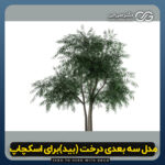 دانلود مدل سه بعدی درخت بید برای اسکچاپ (Willow Tree) آبجکت درخت بید (رایگان) + فایل obj